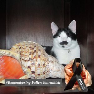 Meet your Posher, Lora lee